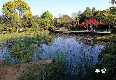 生態(tài)保護(hù)、建設(shè)用地、城鎮(zhèn)發(fā)展影響專題研究報(bào)告案例_華咨基于公路前期專項(xiàng)評(píng)估一站式服務(wù)的優(yōu)勢(shì)剖析
