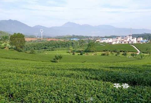 華咨生態(tài)鏈企業(yè)又增一員大將，實(shí)現(xiàn)生態(tài)環(huán)境技術(shù)服務(wù)全覆蓋