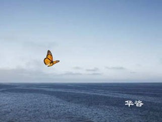 婁底水土保持方案-專業(yè)水保單位-水保為什么需要專業(yè)公司？