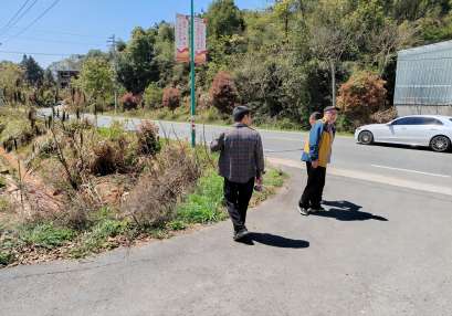 縣道涉路安評，縣道保障公路安全評價報告